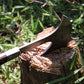 Wilderness Forged Axe: Handcrafted Survival Tool