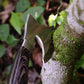 Handcrafted Timber Axe: Your Ultimate Outdoor Companion